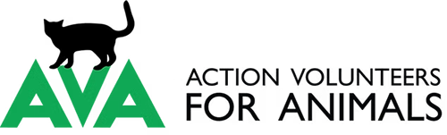 AVA 50/50 draw February 2026